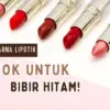 Warna Lipstik