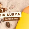 Tabir Surya