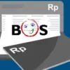 dana bos