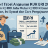 KUR BRI 2025