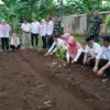 Ketahanan Pangan di Kota Banjar