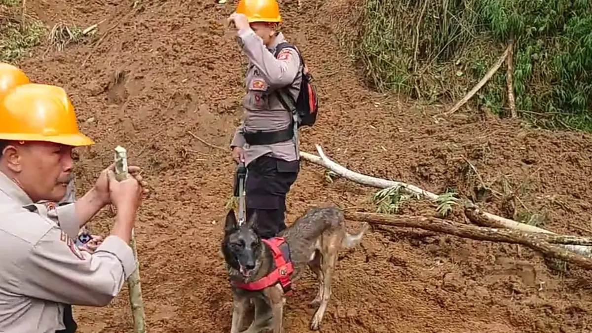 pencarian korban longsor di Kabupaten Tasikmalaya