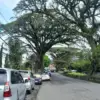 Ruang Terbuka Hijau