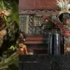 Bioskop TransTV: Apocalypto (istimewa: imdb.com)