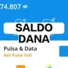 Saldo dana