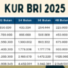 KUR BRI 2025