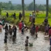 Pertanian Organik Ciamis