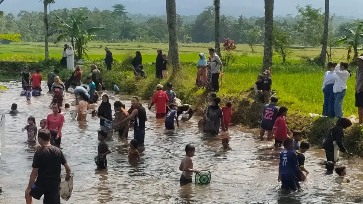 Pertanian Organik Ciamis