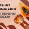 Pepaya dan Madu