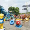 MANDI SALJU