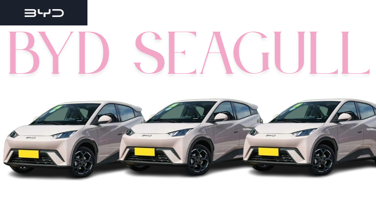 BYD Seagull