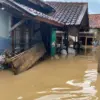 Garut