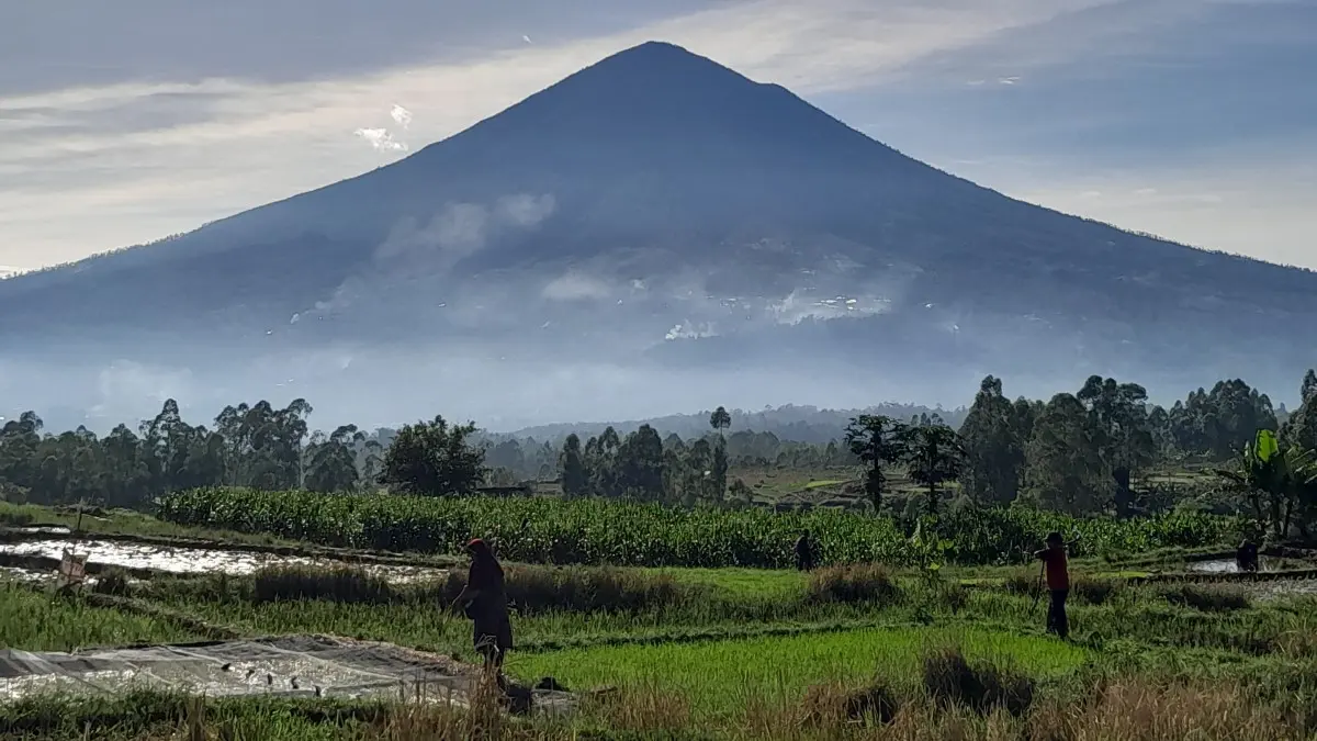 Gunung Cikuray