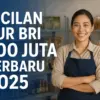 KUR BRI