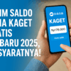 DANA Kaget