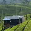 Bobocabin di Bandung