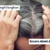 Cara Menghilangkan Uban