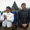 Cukur Rambut Gimbal