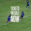 Tiket Persib vs Semen Padang