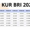 KUR BRI 2025