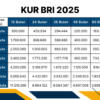 KUR BRI 2025
