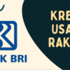 KUR BRI 2025