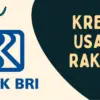 KUR BRI 2025