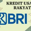 KUR BRI 2025