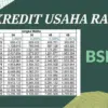 KUR BSI 2025