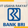 KUR BRI 2025