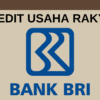 KUR BRI 2025
