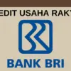 KUR BRI 2025