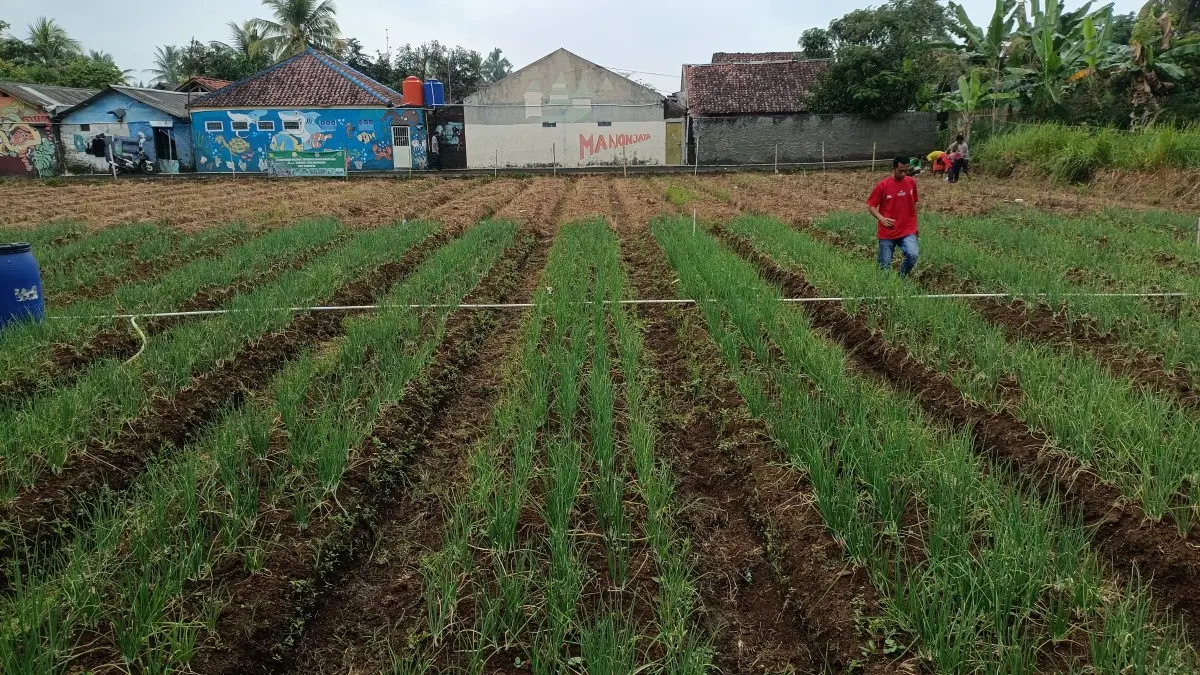 Koramil Kuatkan Ketahanan Pangan di Manonjaya