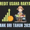 KUR BRI 2025