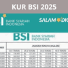 KUR BSI