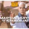 Martial Arts of Shaolin (istimewa: indosiar.com)