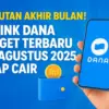 Link DANA Kaget Terbaru