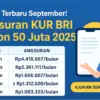 Angsuran KUR BRI