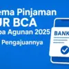 KUR BCA Tanpa Agunan 2025