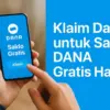 DANA kaget