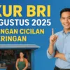 KUR BRI 2025