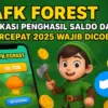 Aplikasi Penghasil Saldo DANA
