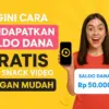 Aplikasi Penghasil Saldo DANA 2025