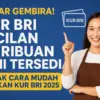 KUR BRI 2025