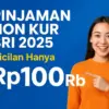 Pinjaman Non KUR BRI