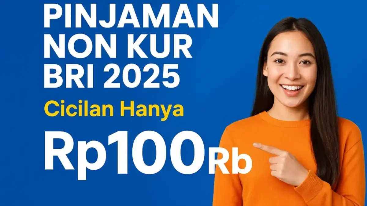 Pinjaman Non KUR BRI