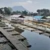 Wisatawan Mancanegara