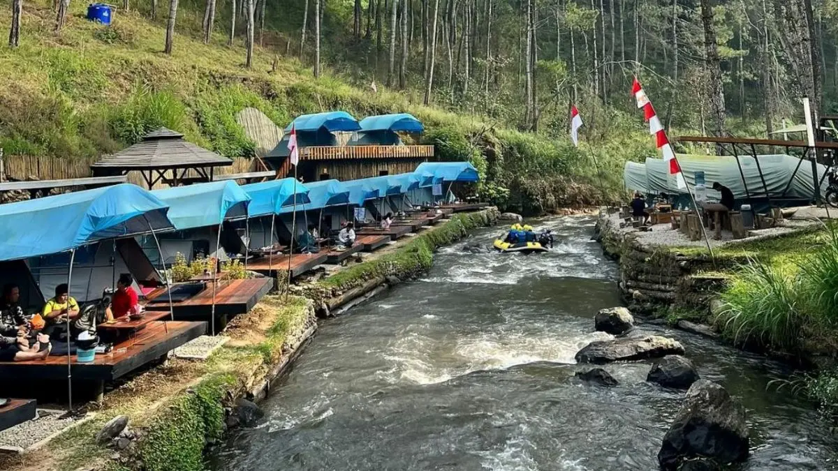 Talaga Pineus Camp