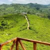 Tempat Wisata