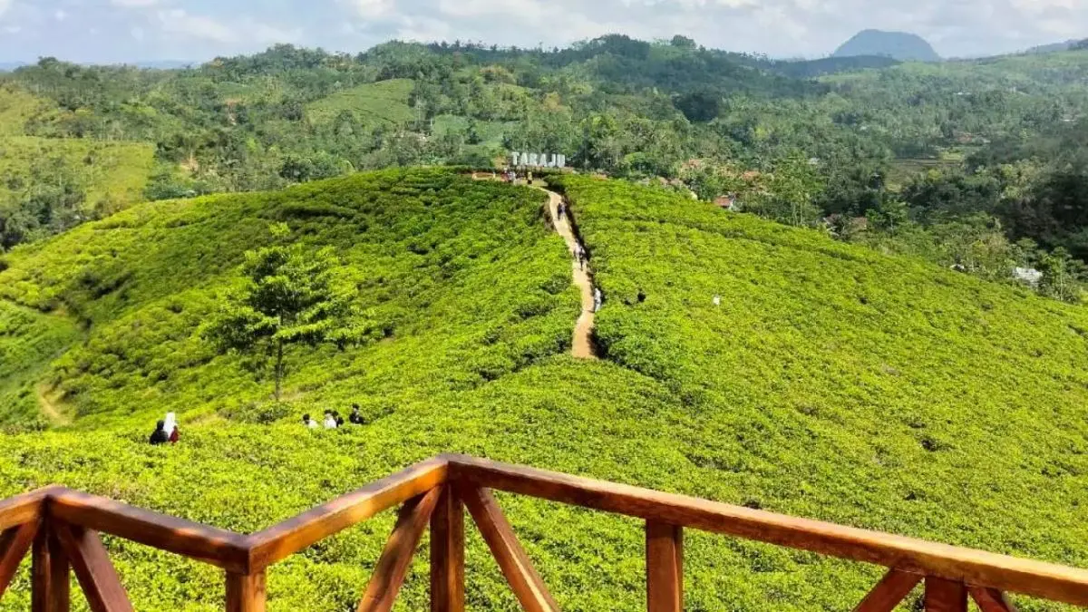 Tempat Wisata